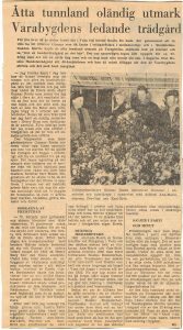 Bild Historia